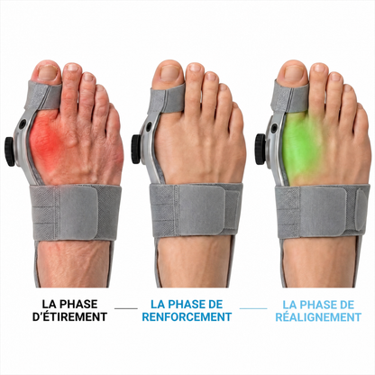 Correcteur d'Oignon